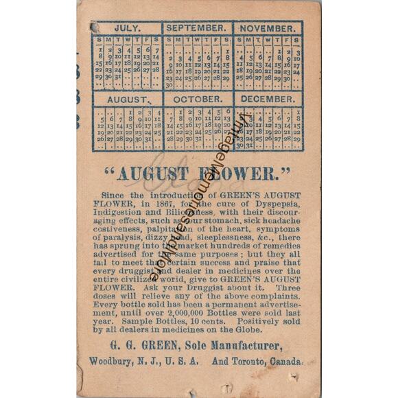 Vintage Boschee's German Syrup Advertising Trade Card PB23 - Picture 2 of 2